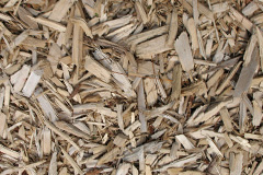 biomass boilers Ratho